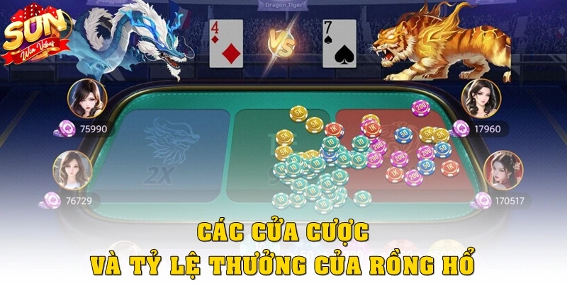 Các cửa cược và tỷ lệ thưởng của Rồng Hổ
