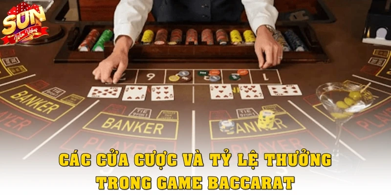 Các cửa cược và tỷ lệ thưởng trong game baccarat