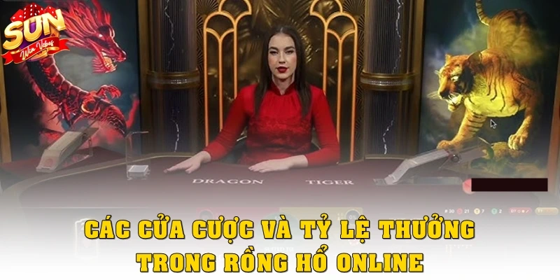 Các cửa cược và tỷ lệ thưởng trong Rồng Hổ online