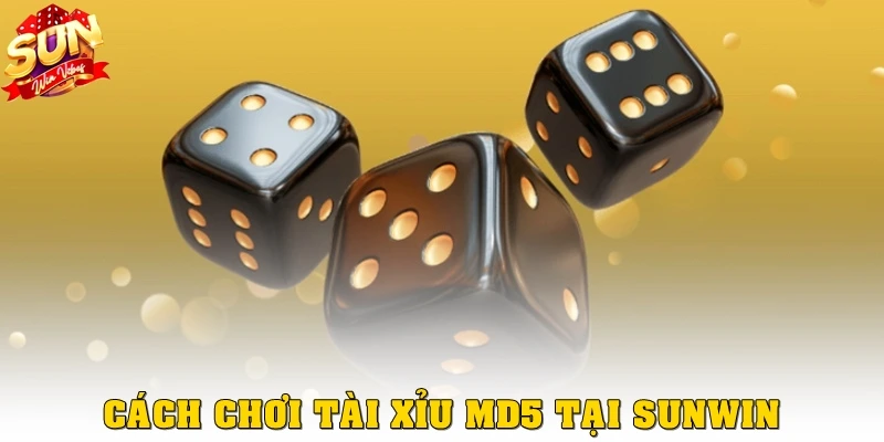 Cách chơi Tài xỉu MD5 tại Sunwin