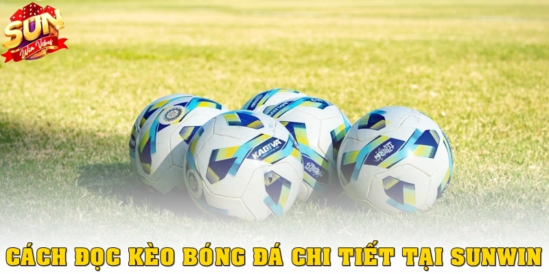 Cách đọc kèo bóng đá chi tiết tại Sunwin