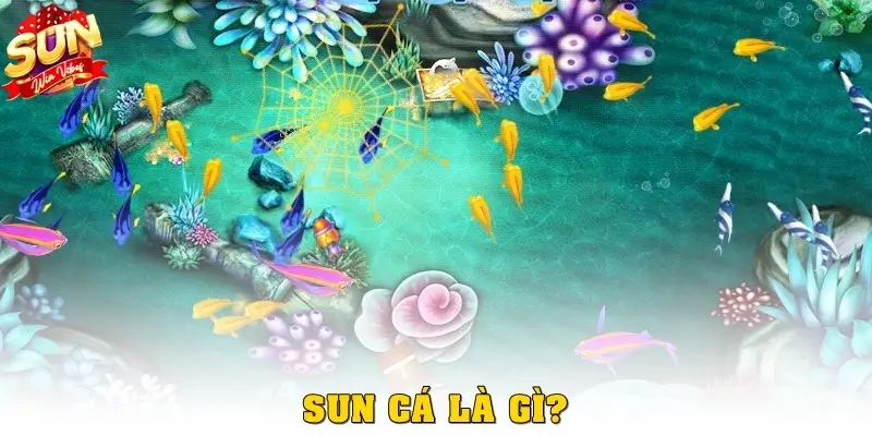 Sun cá là gì? 